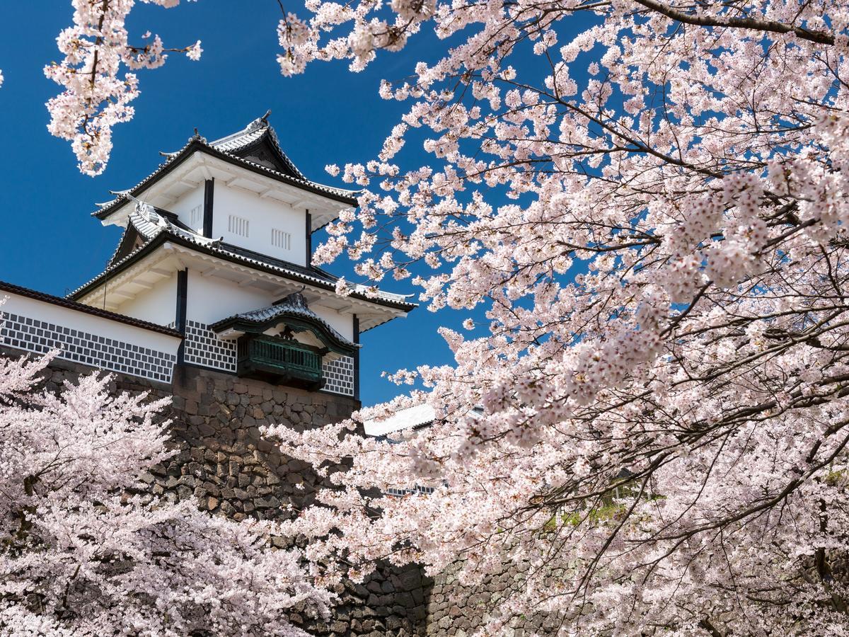 Hotel Wing International Premium Kanazawa Ekimae Екстер'єр фото